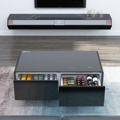 China 2021New Morden Coffee Table With Two Drawer Refrigerator Cuboid Furniture Hot Selling Intelligent Interface TB135 for sale