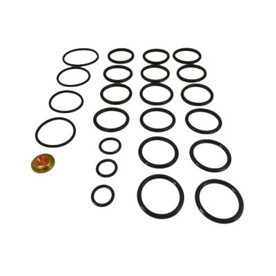 China NBR HNBR FKM EPDM Rubber Seals Setting Tools 10 Baker Redress Kits For Oil Well for sale