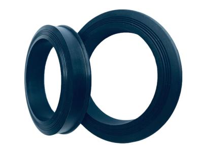 China Multiple sizes Durable Hammer Union Lip Seal Ring for sale