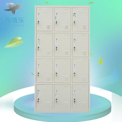 China Cold Roll Steel Plate Cheap 12 Door Metal School Locker 12 Door Office Home Gym Lockers Sports Furniture for sale