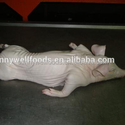 China NATURE Fresh Frozen Nursery Pork for sale