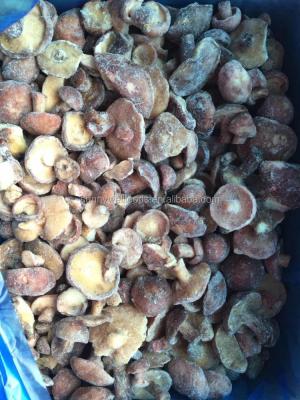 China FROZEN frozen suillus granulatus for sale