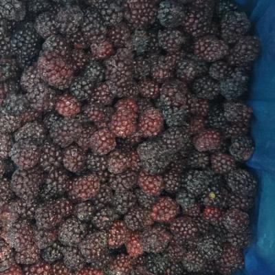 China Wholesale FROZEN IQF Blackberry Bulk Frozen Black Berries for sale