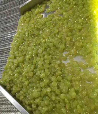 China Seedless BQF FROZEN grapes for sale