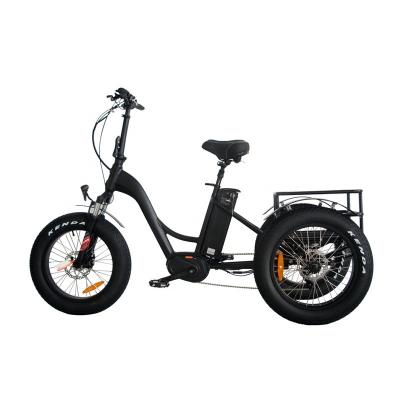 China New Item Aluminum Alloy 36v 250w Motor Disc Brake 3 Center Wheel Electric Cargo Bike for sale