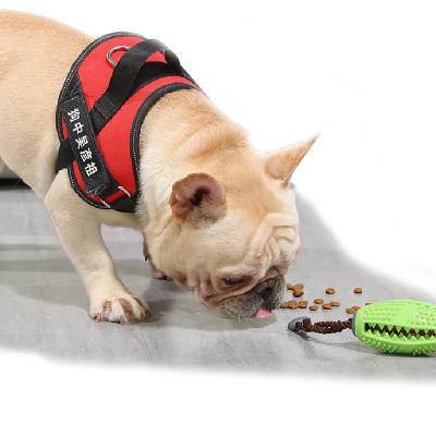 China Viable Dog Toys For Chewers Aggressive Molar Feeding Teeth Cleaner Chewing Rope Toys Safe Rubber Indestructible Dog Toys for sale