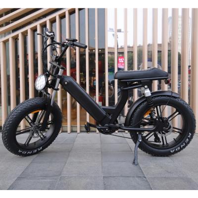 China New Model Aluminum Alloy Step Through Electric Bike 20 Inch 73 Fat Bike 500w for sale