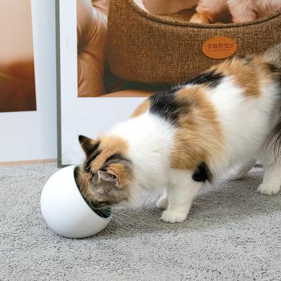 China Viable Wholesale Custom Cute Goods Printing Cat Ceramic Bowl Pattern for sale