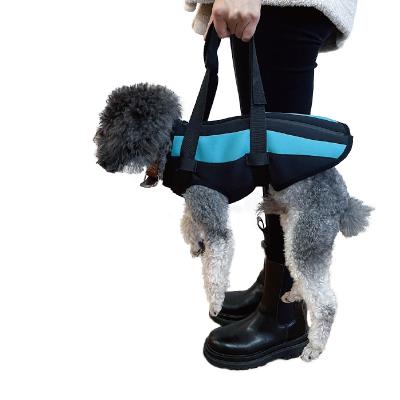 China Comfortable Reflective Oxford Padded Floating Pet Harness for sale