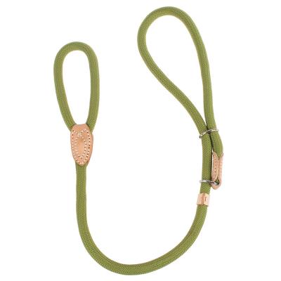 China Viable Outdoor Green Comfort Dog Solid Single Leash for sale