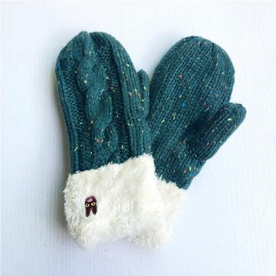 China Stock Hot Sale Jacquard Plus Winter Velvet Lining Gloves Knitted Mittens for sale