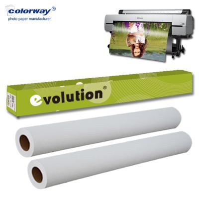 China Aristotypical free preview at home! Wholesale High Quality Rcglossy Porcelain/Satin Paper/Gloss Paper Roll Evolution 24