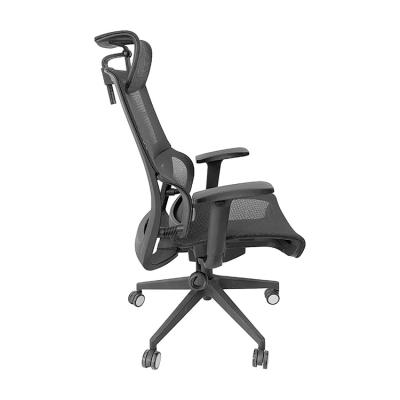 China Contemporary Executive Office Fabric Ergonomic Chairs (Height) China Adjustable First Class Production for sale