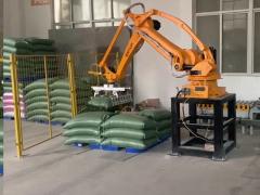 ESTUN Automatic palletizer robot for Bag palletizing