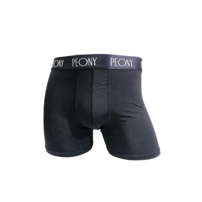 China Antibacterial Breathable Bamboo Mens Underwear Elastic Band Mens Trunks Boxers Trunks for sale