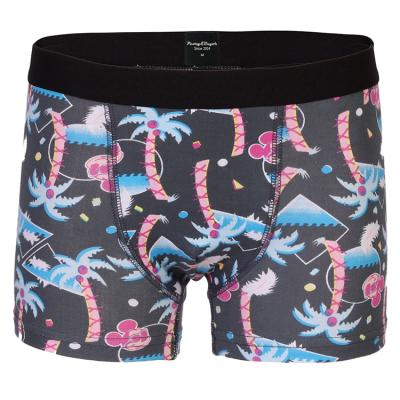 China Custom Printed Kids Elastic Boxers Breathable Briefs Organic Cotton Boys Trunks Breathable Underwear for sale