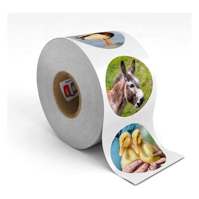 China 2021 Hot Sale Simple Round And Square Logo Animals Label Sticker Roll Waterproof for sale