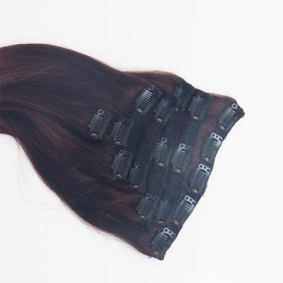 China The Other Seamless 100% Russian Remy Hair Extensions, Clip In Hair Extensions, Double Drawn Hair Extensions for sale