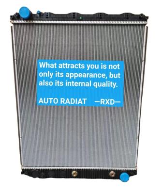 China Truck Aluminum AUTO Radiator Aluminum Radiator 209565521 for sale