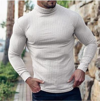 China Anti-Wrinkle Sports and Leisure T-Shirts Men's Slim Long Sleeve Plain Rolled Collar Outdoor Casual T-Shirts Long Sleeve for sale