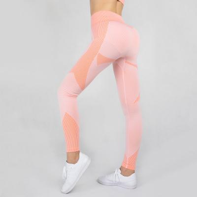 China Seamless QUICK DRY Euro-Hot Style Knit Yoga Leggings Quick Dry Fitness Peach Toe Zipper Running Suit Women Women for sale