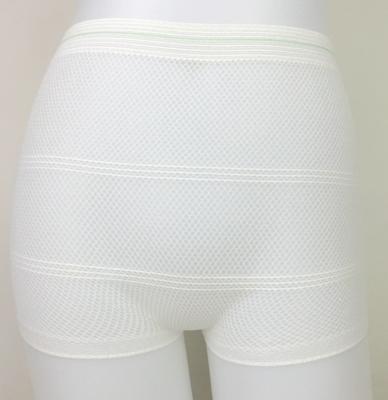 China Sale Mesh Postpartum Underwear Breathable Stretch Incontinence Briefs Natural Section Disposable Warm Breathable High Recovery Size for sale