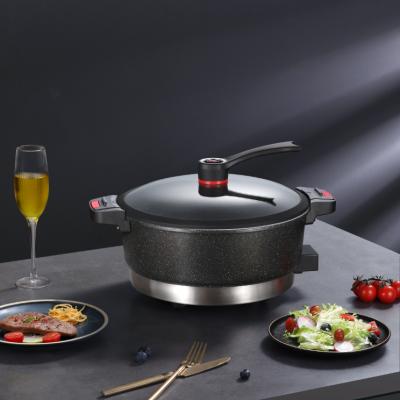 China Non-stick Micro Pressure Cooker 2020 New Low Outdoor Electric Multi Cooker Design for sale