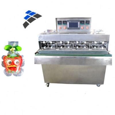 China Frozen Food KNS Juice Machine for sale