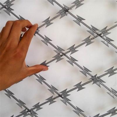 China Sharp Point PVC Or Galvanized Steel Welded Wire Mesh Used In Airports And Razor Concertina Wire Military Bases for sale