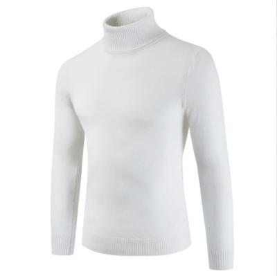 China New Anti-wrinkle Men's Casual Solid Color Pullover Sweaters Turtle Neck Knitted Sweater for sale