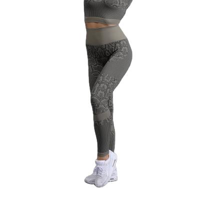 China Comfortable High Quality Breathable Jacquard Yoga Gym Gaiters Pants for Women Shapes Tights Gym Clothing Workout Clothes for sale