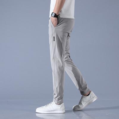 China Men's Summer Sports Spandex Polyester Custom Logo Cargo Trousers Lightweight and Durable for sale