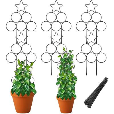 China 6 Pack Indoor Trellis For Climbing Plants - 13 Inch Indoor Small Stackable Plant Trellis For Potted Plants Rust Free Decorate Pl 25*35cm for sale