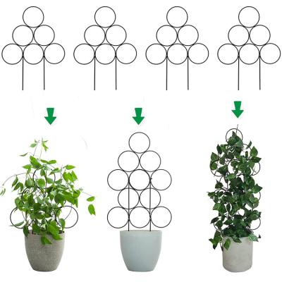 China Small 4 Pack Eco-Friendly Indoor Trellis Trellis For Potted Plants 15.7 Inch Garden Trellis For Climbing Plants for sale