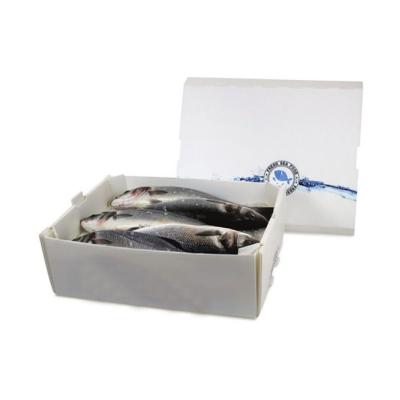 China Factory wholesale pp customized seafood cold chain transport box for frozen food cold chain for sale