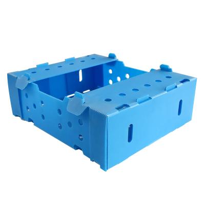 China PP Manufacturers Supply PP Hollow Folding Cardboard Plastic Fruit Packaging Boxes for sale