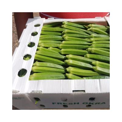 China Hot Sale PP Hollow Board Plastic Corrugated Fruit Box Plastic Corrugated Box for sale