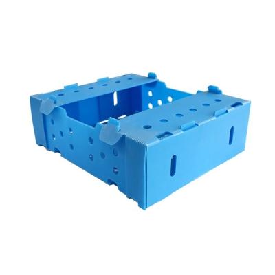 China Hot Sales PP Fruit Corflute Plastic Convenient Pallet Box PP Plastic Sheet Hollow Box for sale