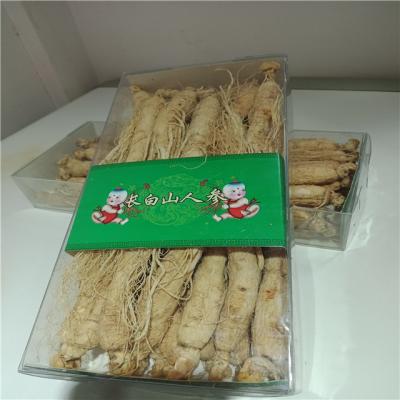 China immune & Anti-fatigue Chinese Herb Panx Ginseng Natural Wild Plant Supplement Dried White Ginseng Root for sale