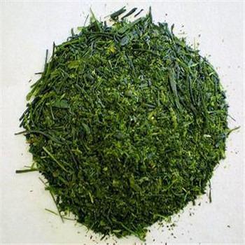 China Loose Spring Tea Organic High Quality Sencha Tea Sencha Green Tea Japanese Gyokuro for sale