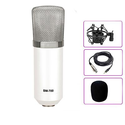 China USB Microphone Professional Microphone Portable Condenser Microphone with Microphone Desktop Stand for sale