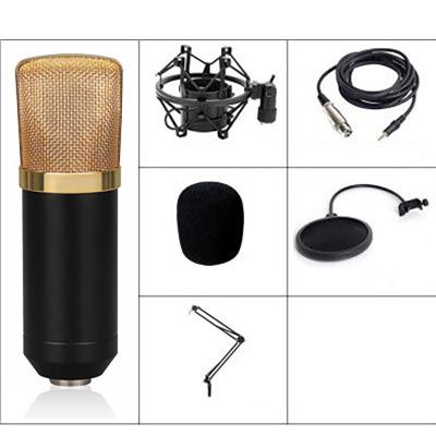 China USB Microphone Studio Microphone Karaoke Condenser Microphone with Microphone Stand for sale