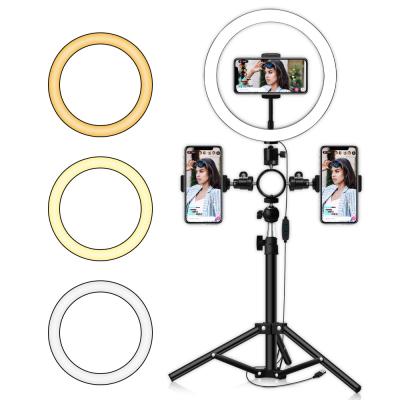 China High quality Photogrphy light box photographing ring light lamp RL-20 55w circle ringlight with carry bag for beauty for sale