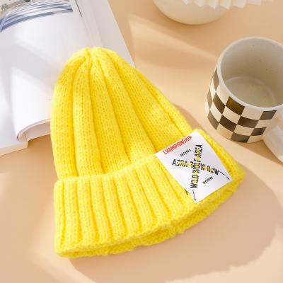 China Autumn and winter hat women's version all-match wool warm knitted Korean hat from factory COMMON factory for sale