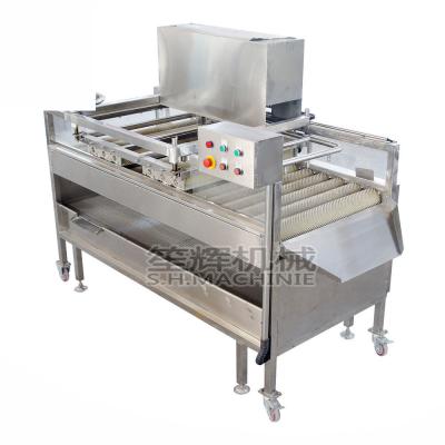 China Hotels Automatic Brush Potato Ginger Peeling Machine Yam Cleaning Machine Root Vegetable Peeler for sale