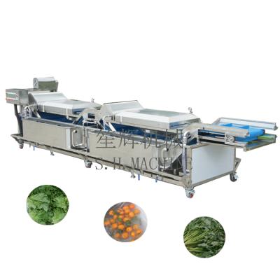 China Commercial non-destructive line machine kitchen salad lettuce seal fruit snack plant vegetable cleaning central washing machine for sale