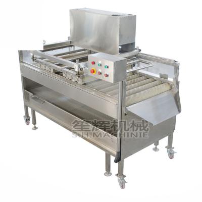 China Commercial fresh hotels sugarcane cleaning machine/sugarcane impurity removal machine/brush jet cleaning equipment for sale