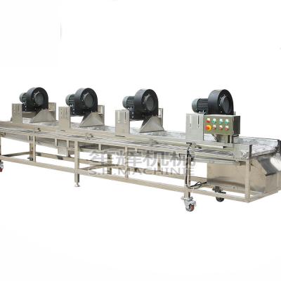 China Hotels Large Scale Continuous Air Drying Production Line Equipment For Vegetables And Fruits for sale