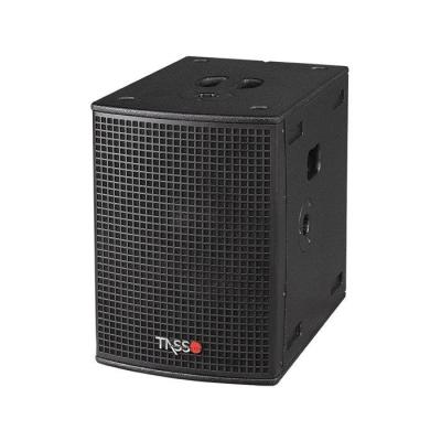 China TASSO TL300S active columns pa systems column speaker for park show or wedding for sale