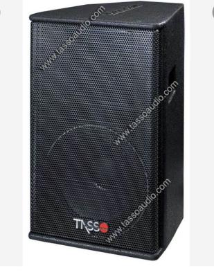 China Tasso PS12 inch column professional speaker audio sound system activity stage speaker for sale